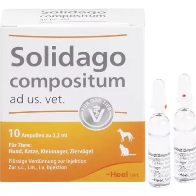 SOLIDAGO COMPOSITUM anúncio us.vet.ampoules, 10 unidades SOLIDAGO COMPOSITUM anúncio us.vet.ampoules, 10 unidades
