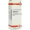 PHYTOLACCA Diluição D3, 20 ml