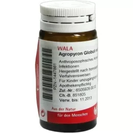 AGROPYRON Globo velati, 20 g