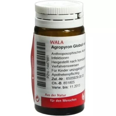 AGROPYRON Globo velati, 20 g
