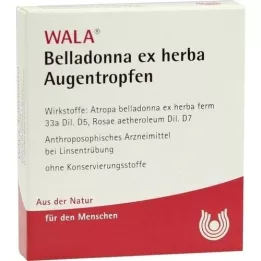 BELLADONNA EX HERBA Colírio, 5X0,5 ml