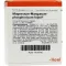 MAGNESIUM MANGANUM ampolas de fósforo Injeel, 10 unidades