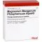 MAGNESIUM MANGANUM ampolas de fósforo Injeel, 10 unidades