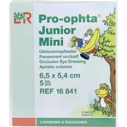 PRO-OPHTA Mini gesso oclusivo júnior, 5 unid