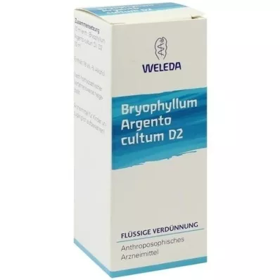 BRYOPHYLLUM ARGENTO diluição de cultum D 2, 50 ml