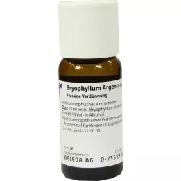 BRYOPHYLLUM ARGENTO diluição de cultum D 3, 50 ml
