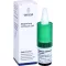 ARGENTUM NITRICUM D 4 colírios, 10 ml