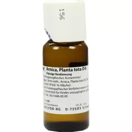 ARNICA PLANTA diluição total D 6, 50 ml