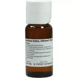 GENTIANA LUTEA mistura a 5%, 50 ml