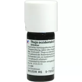THUJA OCCIDENTALIS Tintura mãe, 20 ml