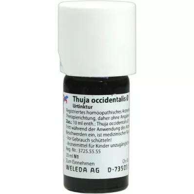 THUJA OCCIDENTALIS Tintura mãe, 20 ml