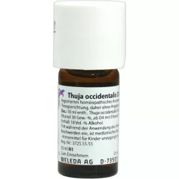 THUJA OCCIDENTALIS Diluição D 6, 20 ml