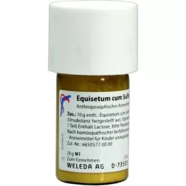 EQUISETUM CUM Trituração de enxofre tostum D 6, 20 g
