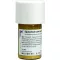 EQUISETUM CUM Trituração de enxofre tostum D 6, 20 g