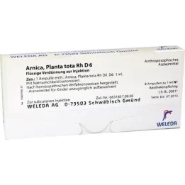 ARNICA PLANTA ampolas tota Rh D 6, 8X1 ml