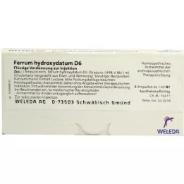 FERRUM HYDROXYDATUM D 6 ampolas, 8X1 ml