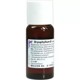 BRYOPHYLLUM Tintura mãe, 50 ml