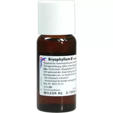 BRYOPHYLLUM Tintura mãe, 50 ml