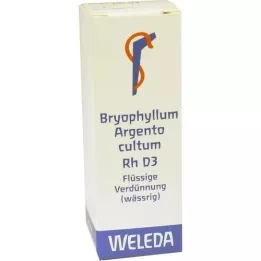 BRYOPHYLLUM ARGENTO diluição cultum Rh D 3, 20 ml