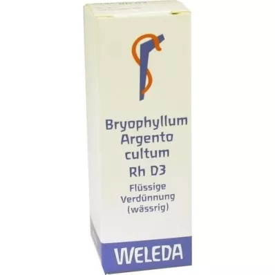 BRYOPHYLLUM ARGENTO diluição cultum Rh D 3, 20 ml