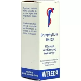 BRYOPHYLLUM RH Diluição D3, 20 ml