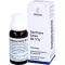 GENTIANA LUTEA RH Mistura de suco prensado 5%, 20 ml
