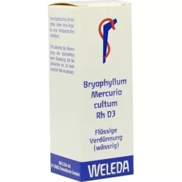 BRYOPHYLLUM MERCURIO diluição cultum Rh D 3, 20 ml