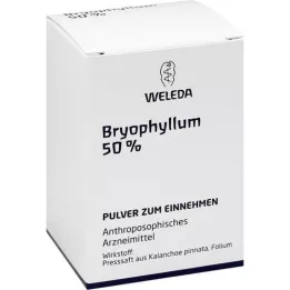 BRYOPHYLLUM 50% pó oral, 50g