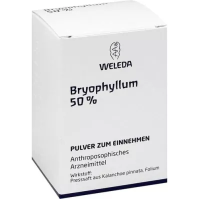 BRYOPHYLLUM 50% pó oral, 50g BRYOPHYLLUM 50% pó oral, 50g