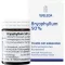 BRYOPHYLLUM 50% pó oral, 50g