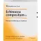 ECHINACEA COMPOSITUM SN Ampolas, 10 unidades