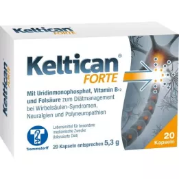 KELTICAN cápsulas fortes, 20 unidades