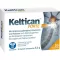 KELTICAN cápsulas fortes, 20 unidades