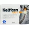 KELTICAN cápsulas fortes, 40 unidades