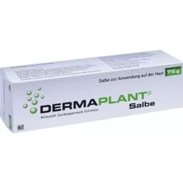 DERMAPLANT Pomada, 75 g