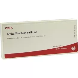 ARNICA/PLUMBUM /Ampolas Mellitum, 10X1 ml