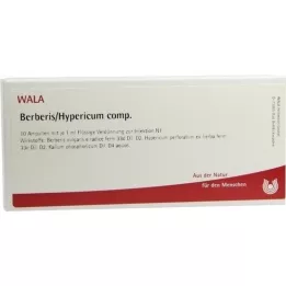 BERBERIS/HYPERICUM comp. ampolas, 10X1 ml