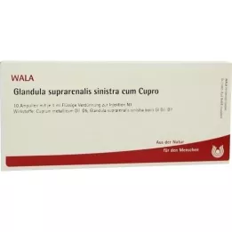 GLANDULA SUPRARENALIS ampolas sinistra cum Cupro, 10X1 ml