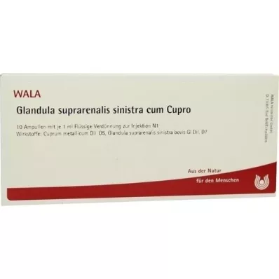 GLANDULA SUPRARENALIS ampolas sinistra cum Cupro, 10X1 ml