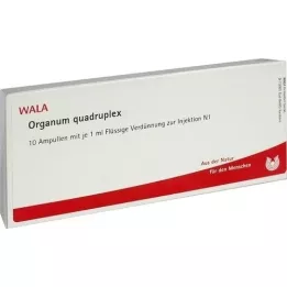 ORGANUM ampolas quádruplas, 10X1 ml
