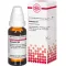 AESCULUS Diluição D4, 20 ml
