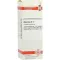 AGARICUS Diluição D4, 20 ml