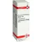 ARNICA Diluição D4, 20 ml