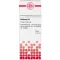 BERBERIS Diluição D4, 50 ml