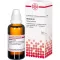 BERBERIS Diluição D4, 50 ml