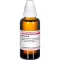 BERBERIS Diluição D4, 50 ml