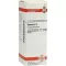 BRYONIA Diluição D4, 20 ml
