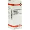 CANTHARIS Diluição D4, 20 ml