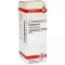 COLCHICUM Diluição D 6, 20 ml