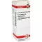 COLOCYNTHIS Diluição D4, 20 ml